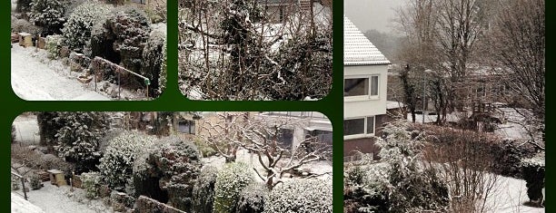Bekanntschaften stuttgart vaihingen