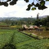 Foto Desa Wisata Saung Ciburial, Garut