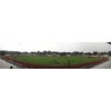 Foto Stadion Semeru, Lumajang