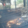 Foto se'i babi om ba'i baun, Kupang