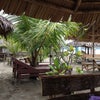 Foto Bamboo Beach Bar, Pangandaran