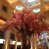 The Palazzo Las Vegas