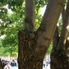 National September 11 Memorial