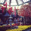 The Bellagio Gallery of Fine Art