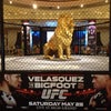 MGM Grand Hotel & Casino