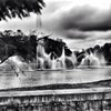Parque Ibirapuera