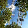 The London Eye