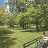 Central Park