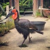 San Francisco Zoo