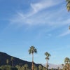 Photo of Avalon Hotel & Bungalows Palm Springs