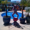 Phoenix Hotel
