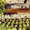 The French Laundry The French Laundry