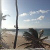 Atlantic Beach Hotel and Bar