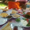 Delfin Cafe Restaurant