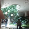 Wynn Resorts