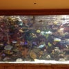 Mirage Hotel and Casino