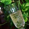 Фото Bellini