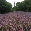 Boston Common
