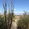The Living Desert