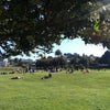 Dolores Park