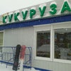 Фото Кукуруза