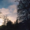 Фото ЮФУ