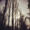 Фото ЮФУ