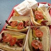 Gold Coast Dogs