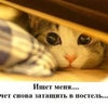 Фото ЮФУ