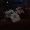 Фото Ассорти