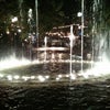 The Grove