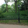 Central Park