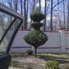 Фото Яр Отель