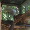 Фото Яр Отель