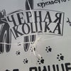 Фото Черная кошка