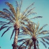 Desert Hills Premium Outlets