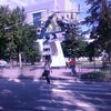 Фото Роствертол