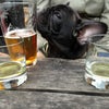 Southern Pacific Brewing