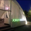 Фото Forest Grill