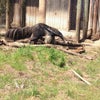San Francisco Zoo