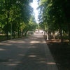 Фото Городской сад