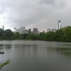 Central Park