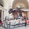 Field Museum