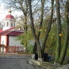 Фото Пить Кофе