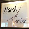 The Marsh Harrier,  St Ives