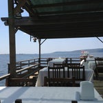 Park Yeşil