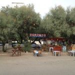 martı cafe restoran