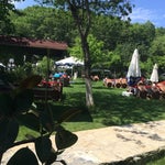 Bolu-2 Restaurant Et Mangal & Köy Kahvaltısı