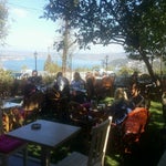 GrandCello Cafe & Restaurant