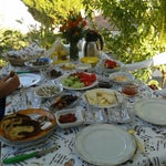 ELVAN ELVAN KAHVALTI
